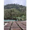 Guatemala - La Bolsa