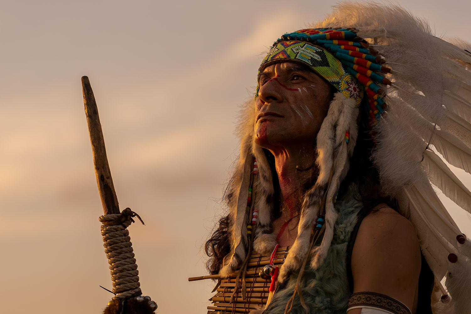 Historie jedlého hmyzu. Od pravěku až po současnost