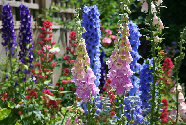 Jak na vytváření jarních květinových záhonů a pěstování trávníku