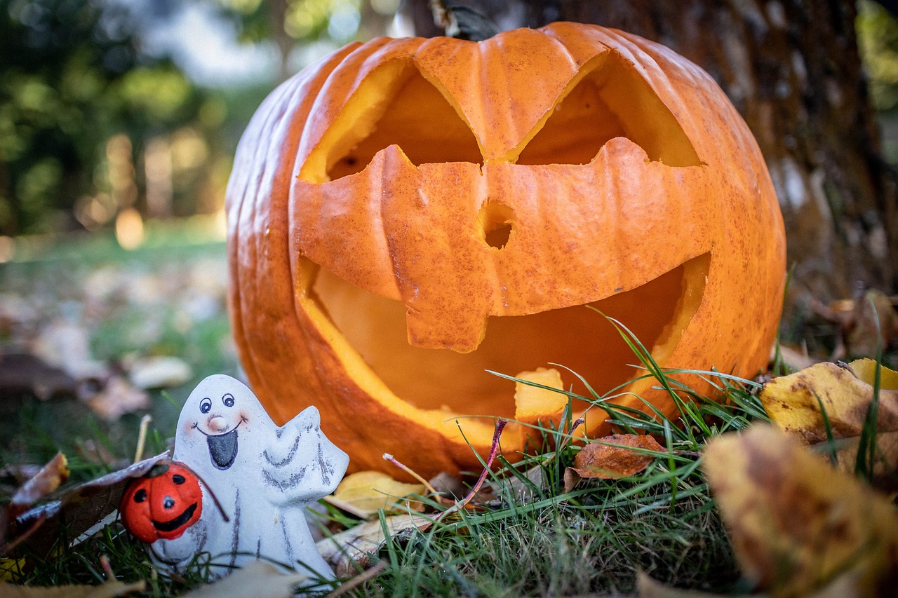 Halloweenská zahrada: Kde dýně děsí, růže či vřes voní a na kukuřici si pošmáknete