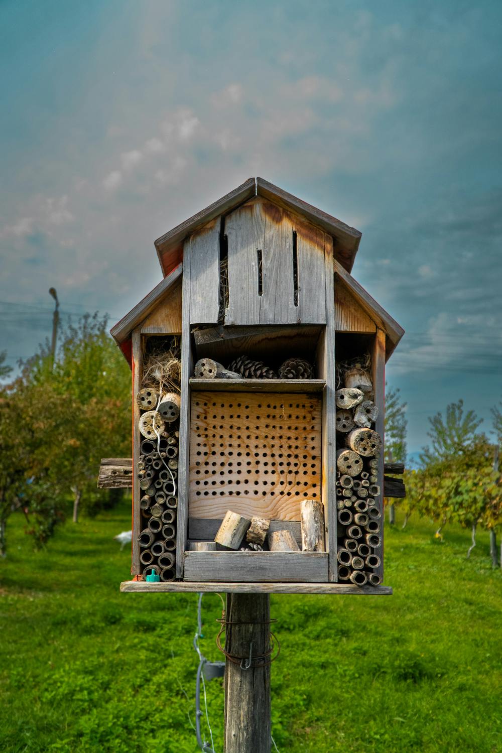 Jak vybudovat hmyzí hotel z přírodních materiálů