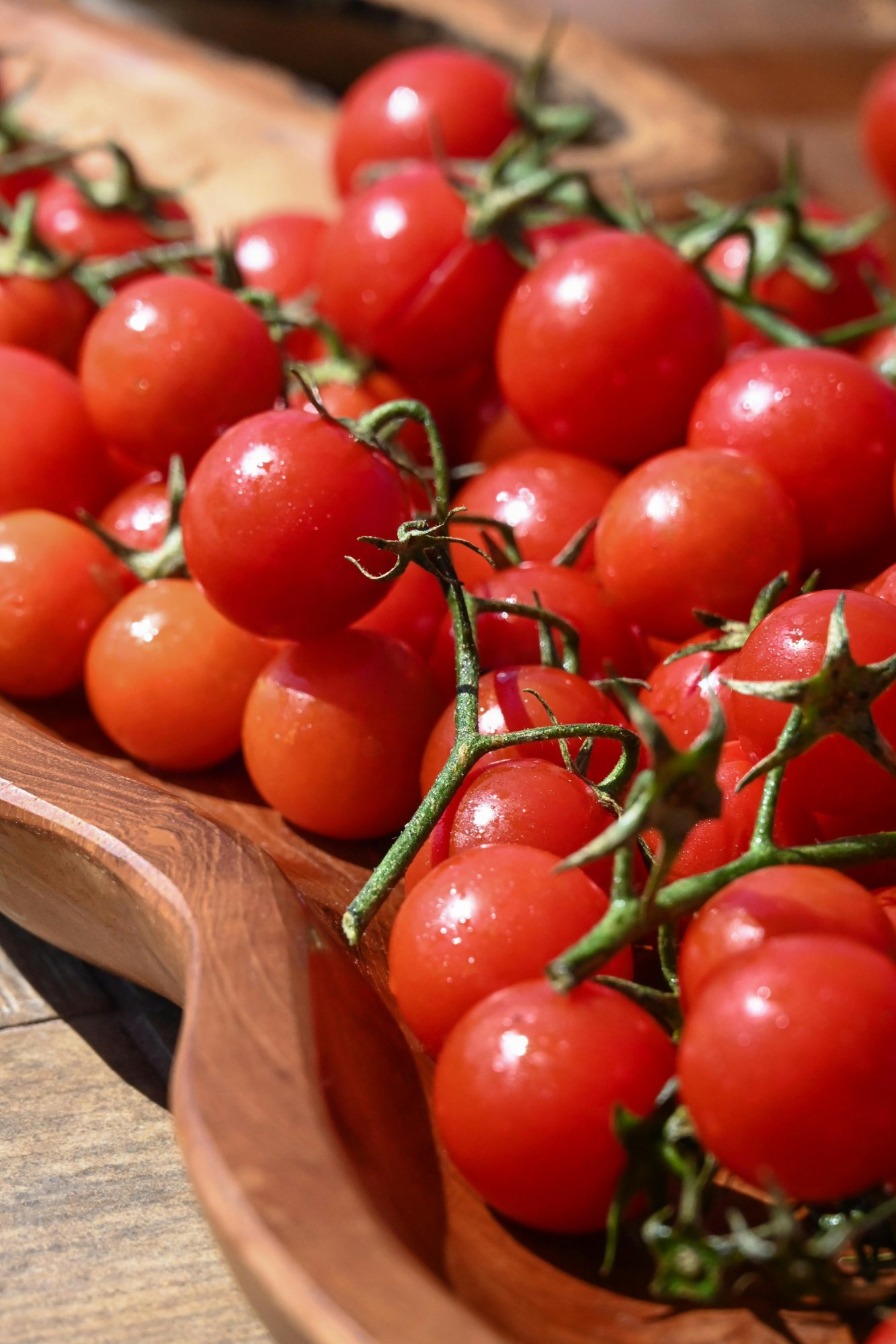 Jak na zdravá rajčata: od výsadby po sklizeň