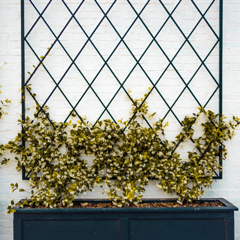 Truhlík, který přežije víkend: jednoduchý systém zálivky pro normální lidi