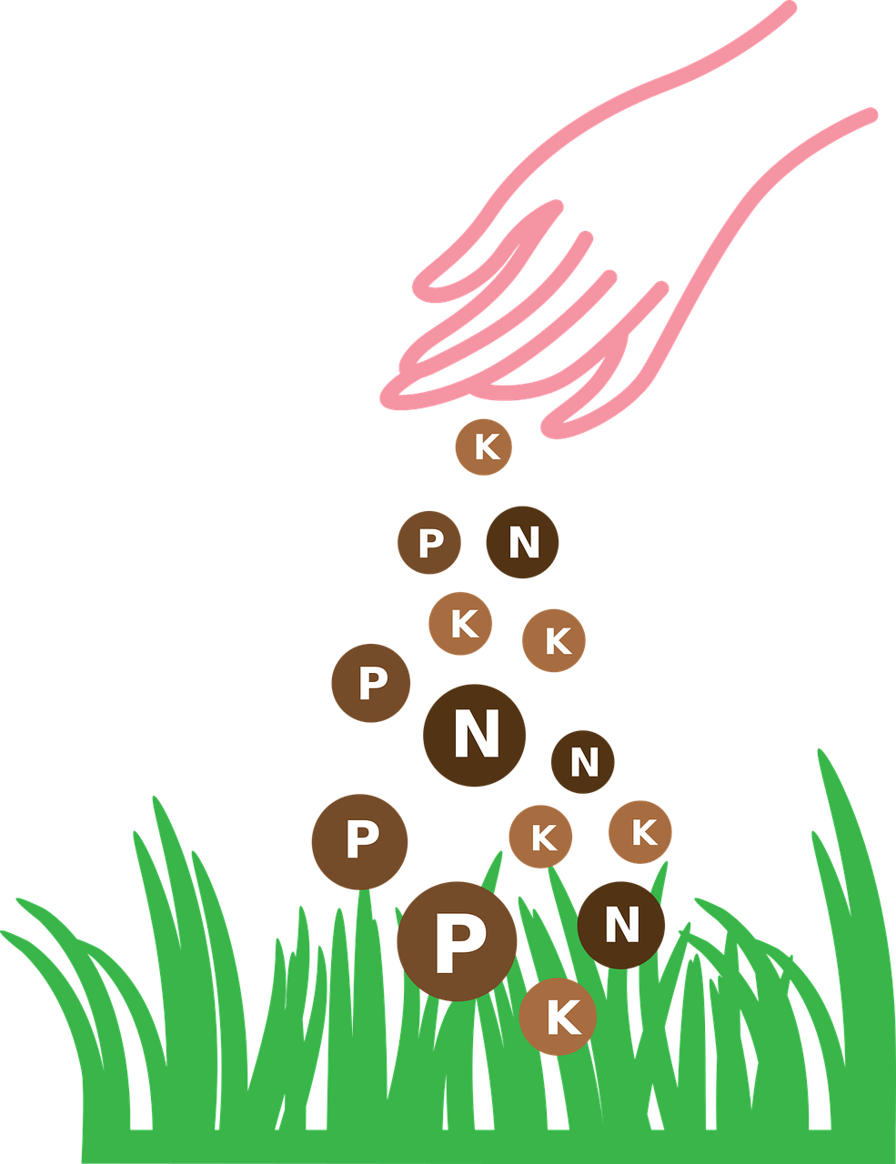 Hnojivo na podzim: Kde všude ho využít a proč je to důležité?
