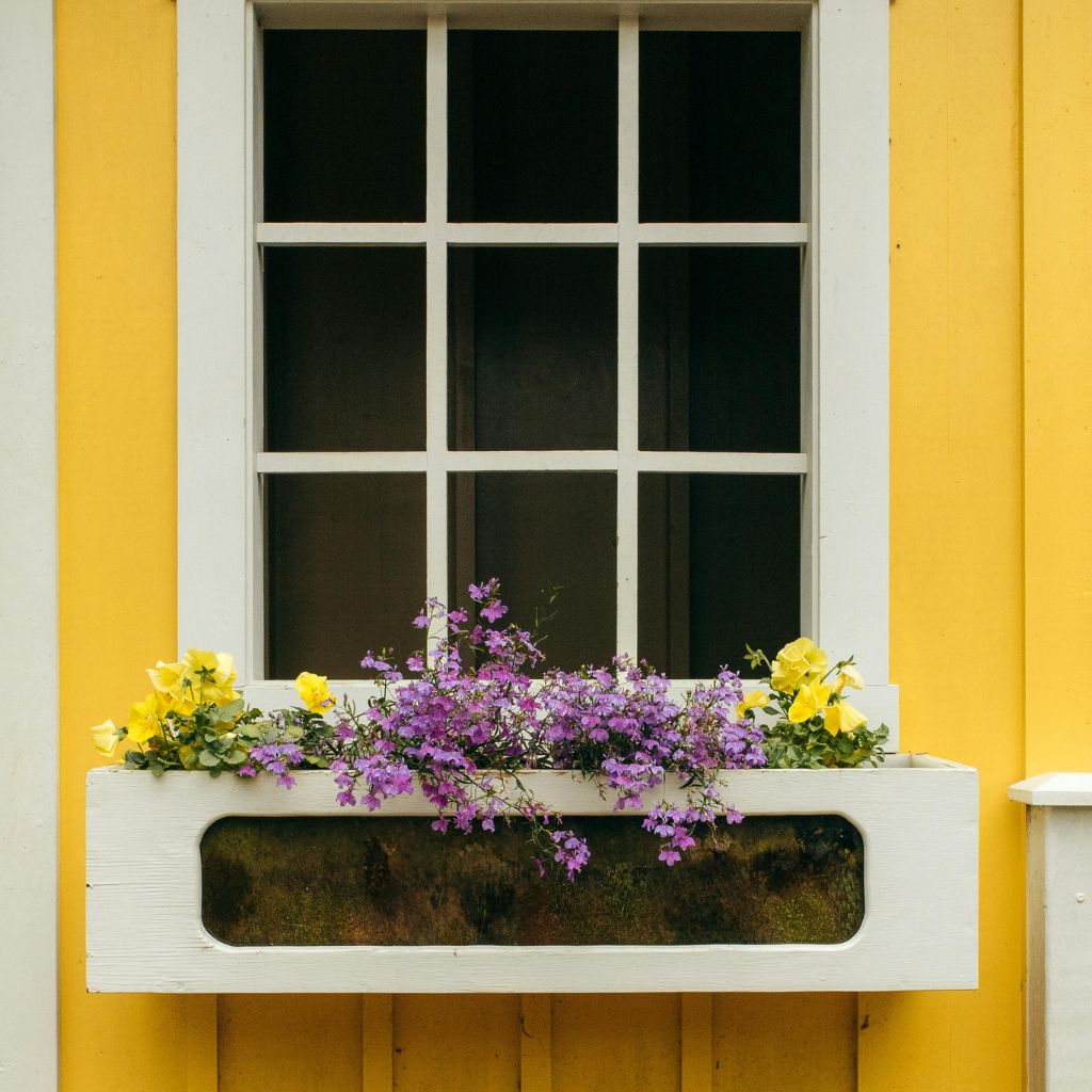 Proč se některé truhlíky přehřívají víc než jiné a co s tím