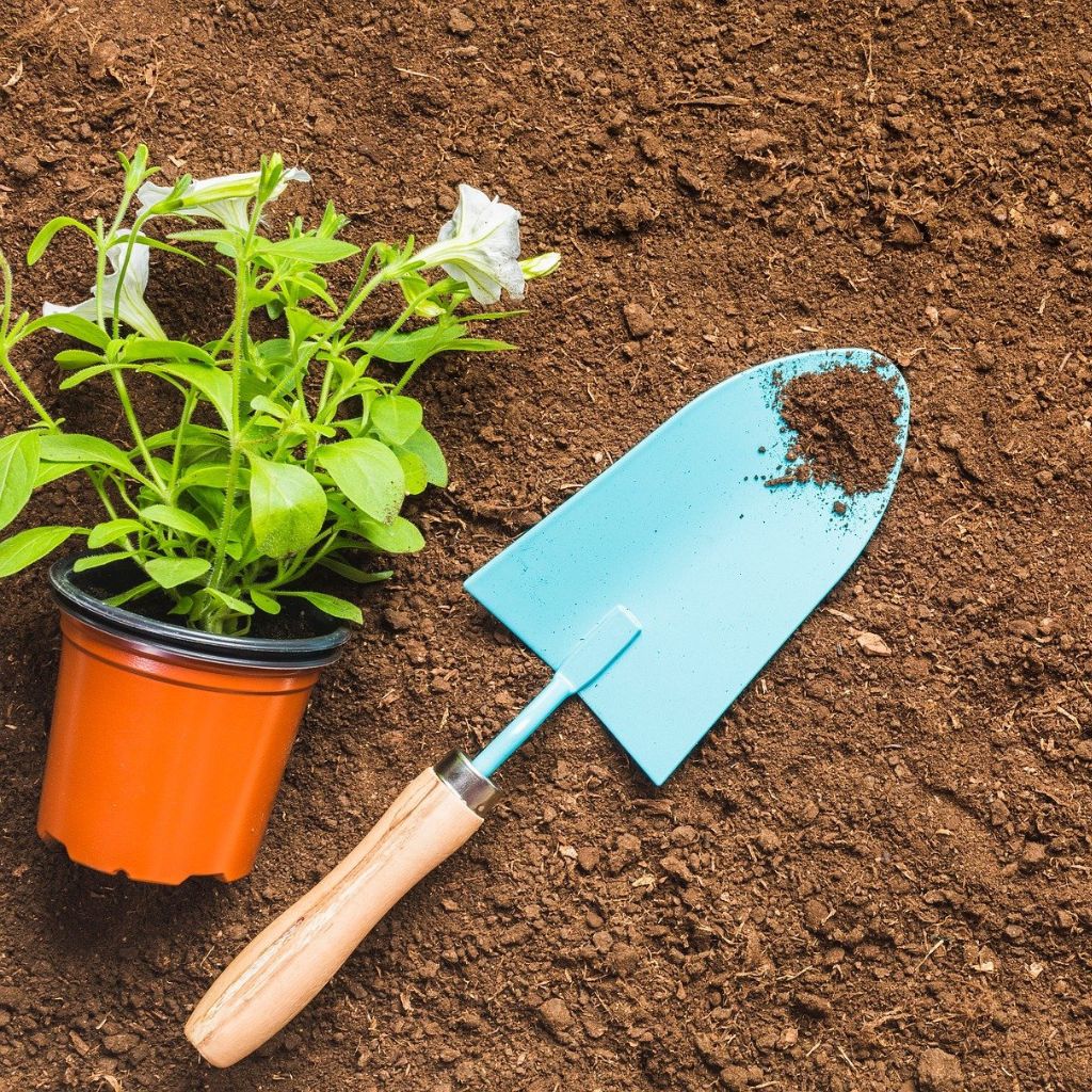 Proč substrát po pár týdnech slehne a co to udělá s kořeny