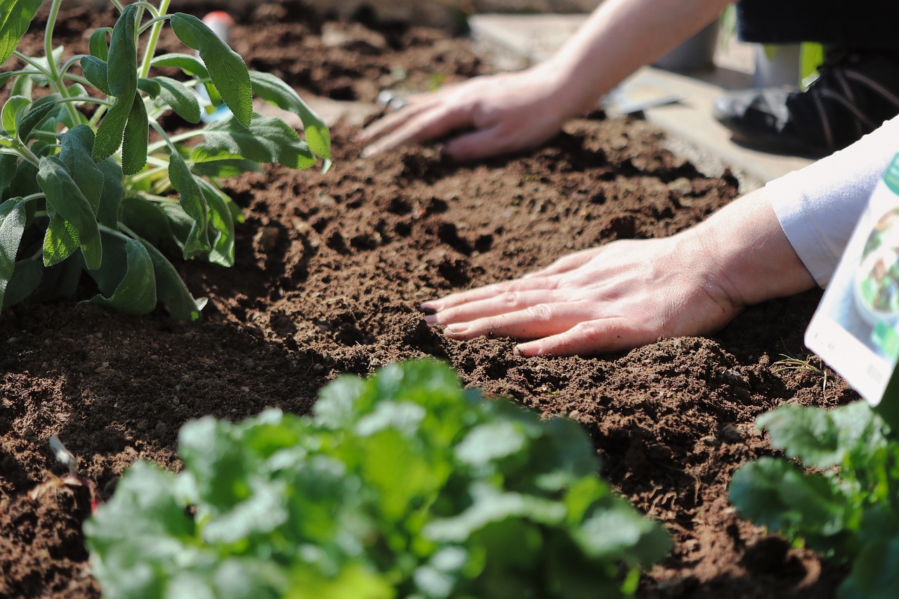 Co a jak na jaře s půdou? Detoxikace a oživení.