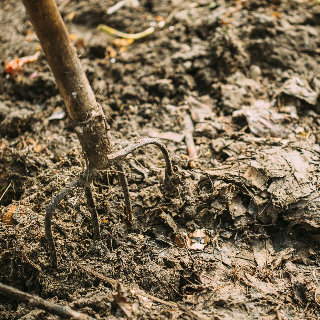 Mulč, kompost, nebo rycí vidle? Co opravdu pomůže záhonu, který je tvrdý jak beton