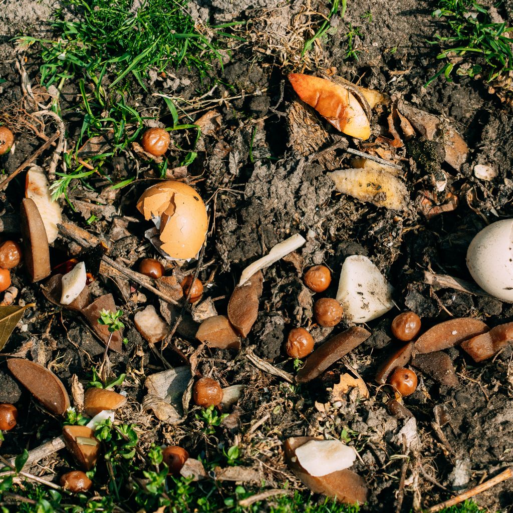 kompost_biozbytky_black_frass