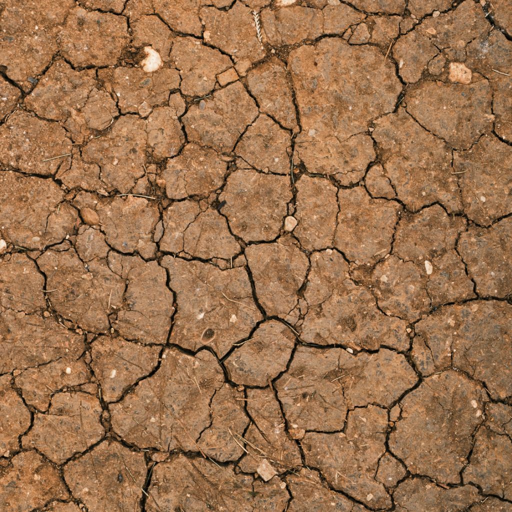 popraskana_puda_black_frass