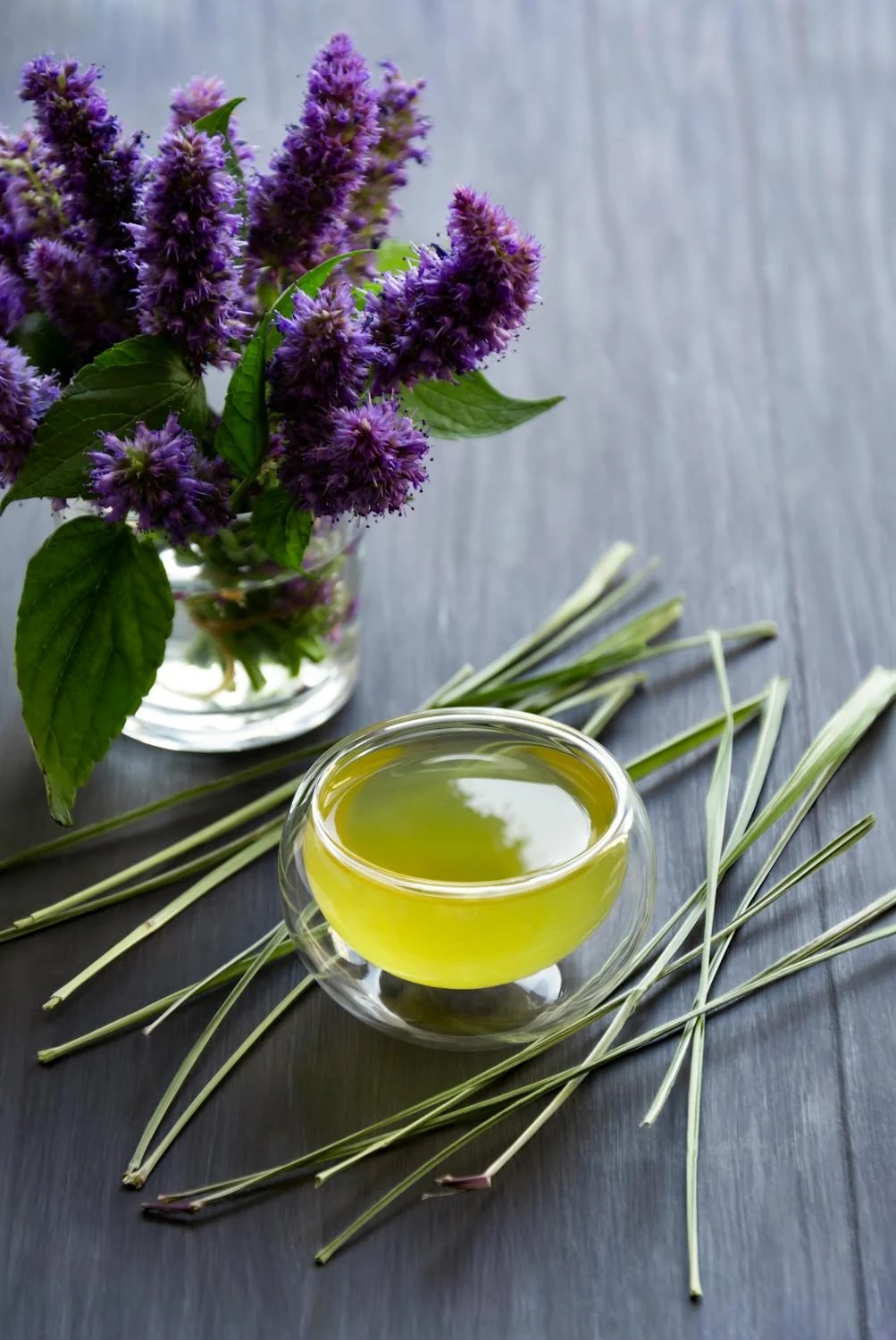 pestovani_citronove_travy_black_frass