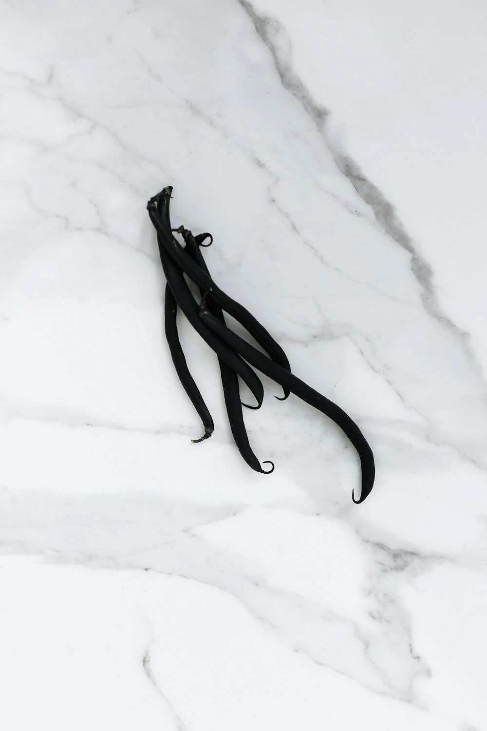 pestovani_vanilky_3_black_frass
