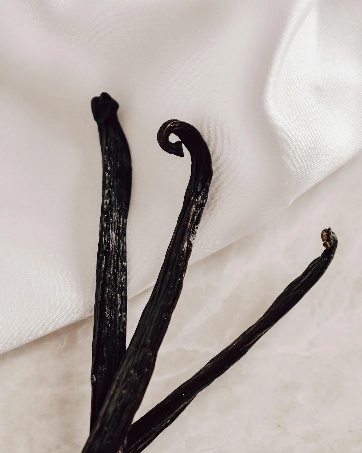 pestovani_vanilky_black_frass