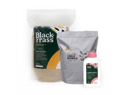 Gemini Generated Image ykactwykactwykac