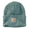 Carhartt KULICH Carhartt Watch hat beanie reenstone/seabrook