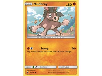 Mudbray