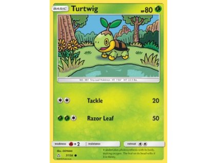 Turtwig
