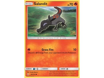 Salandit