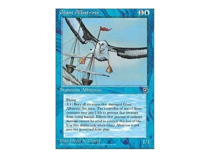 Giant Albatross