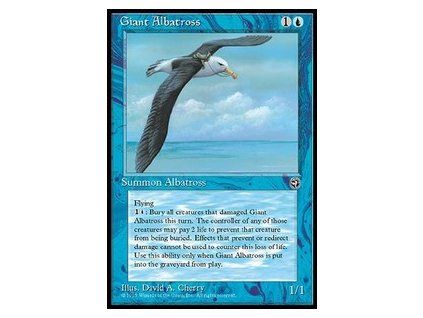Giant Albatross