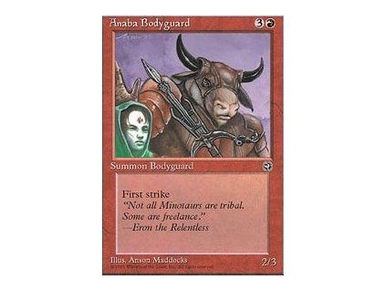 Anaba Bodyguard