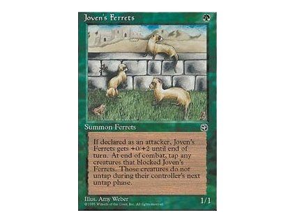 Joven's Ferrets