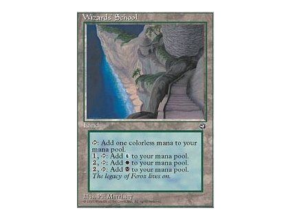 Wizards' School