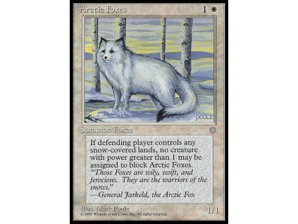 Arctic Foxes