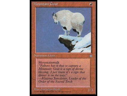 Mountain Goat