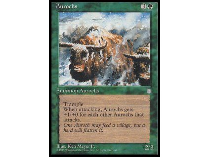 Aurochs