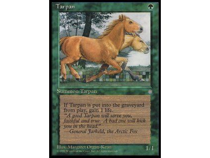Tarpan