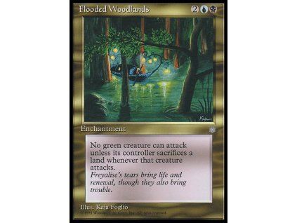Flooded Woodlands