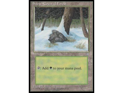 Snow-Covered Forest