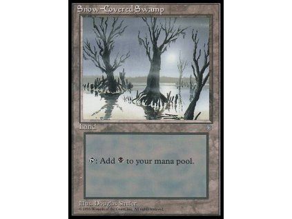 Snow-Covered Swamp