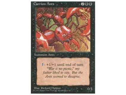 Carrion Ants