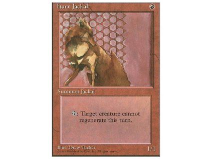 Hurr Jackal