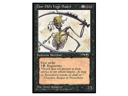 Lim-Dul's High Guard (Foil NE, Stav Near Mint)