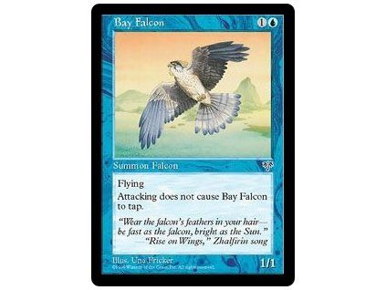 Bay Falcon