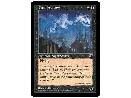 Feral Shadow