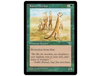 Karoo Meerkat