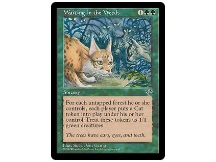 Waiting in the Weeds