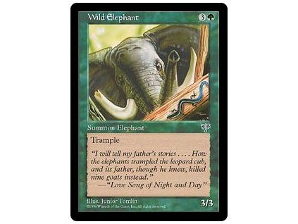 Wild Elephant