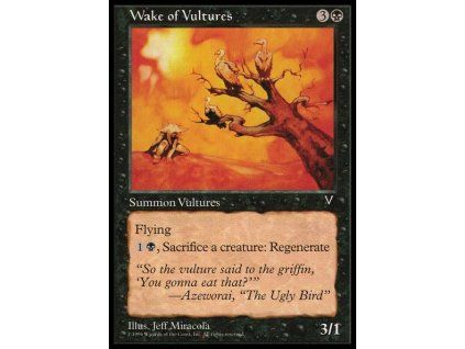 Wake of Vultures