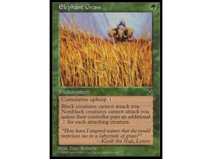 Elephant Grass
