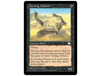 Circling Vultures