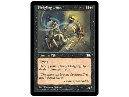 Fledgling Djinn (Foil NE, Stav Near Mint)