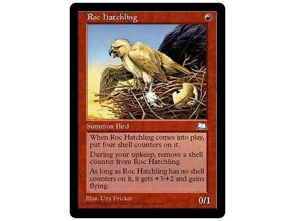 Roc Hatchling