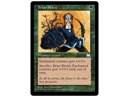 Briar Shield (Foil NE, Stav Near Mint)