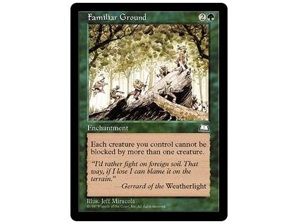 Familiar Ground (Foil NE, Stav Near Mint)