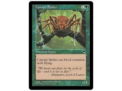 Canopy Spider